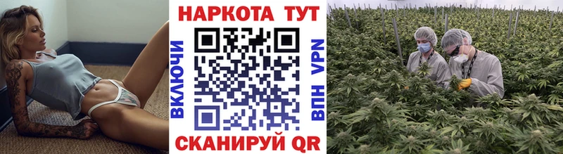 Где купить наркоту Андреаполь Cocaine Меф Гашиш МЕГА рабочий сайт МАРИХУАНА Alpha-PVP Экстази