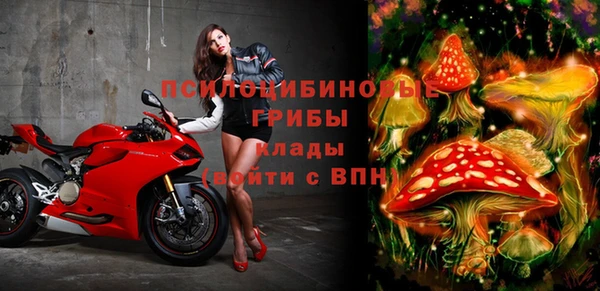 героин Алексин