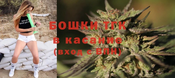 СК Алзамай
