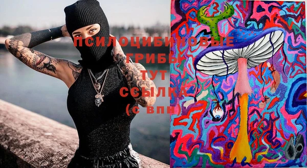 синтетический гашиш Алексеевка