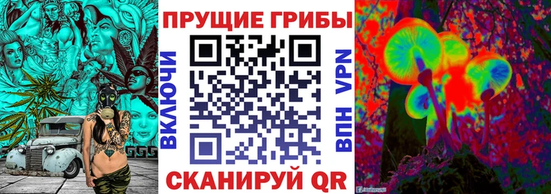 Галлюциногенные грибы мухоморы  Андреаполь 